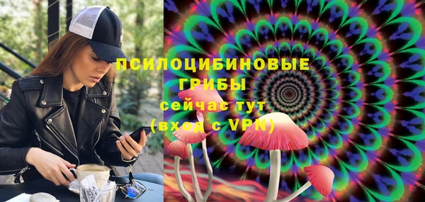 герыч Алексин