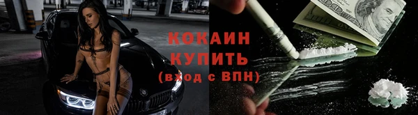 шишки Армянск