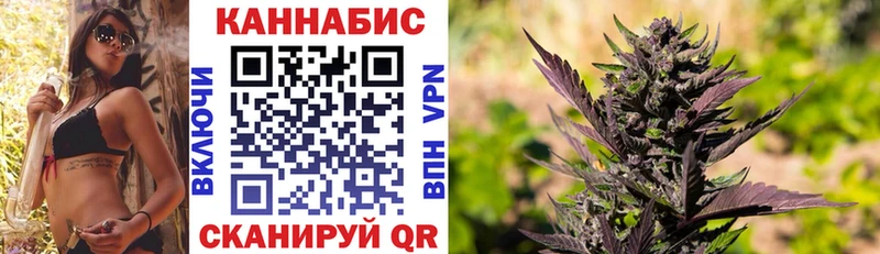 Конопля сатива  МЕГА как войти  Полесск  сколько стоит 